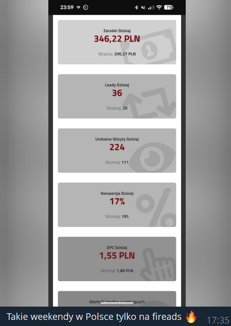 Takie weekendy w Polsce tylko na FireAds - 346,22 PLN, 17% konwersji